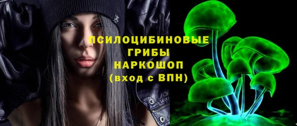 прущие крисы Белокуриха