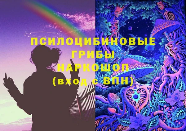 гашик Беломорск