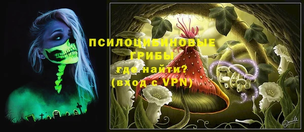 прущие крисы Белокуриха