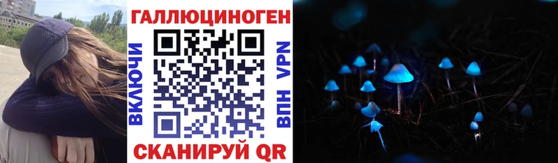 кракен как войти  Светлогорск  Галлюциногенные грибы Magic Shrooms 